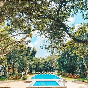 nivadoo-resort-sigiriya.kandyhotelsnow.com/